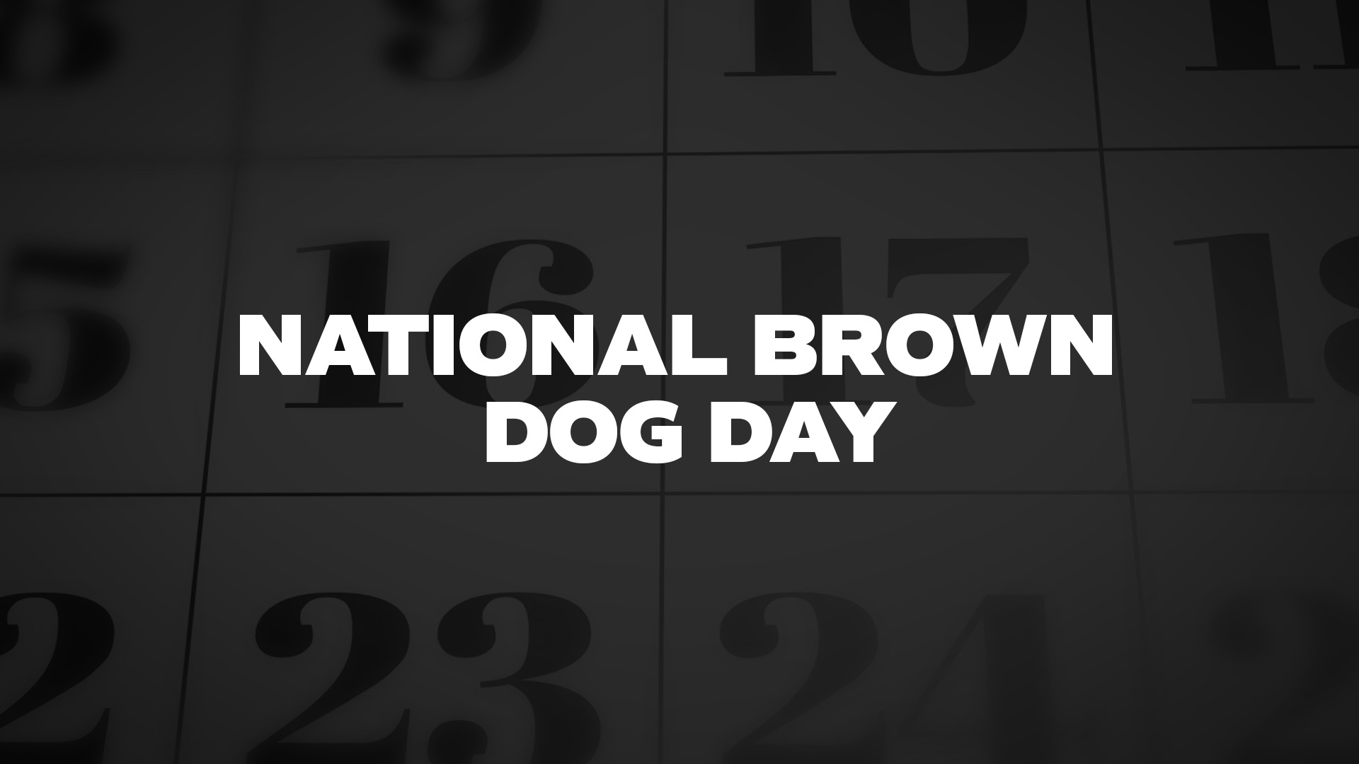 Title image for National Brown Dog Day