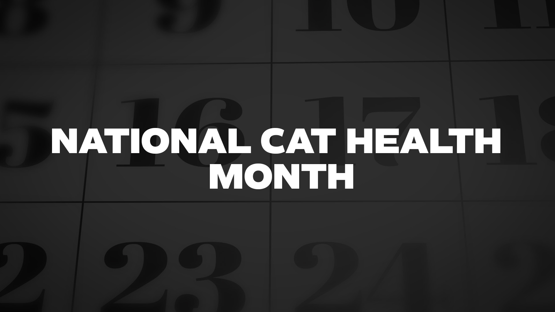 Title image for National Cat Health Month