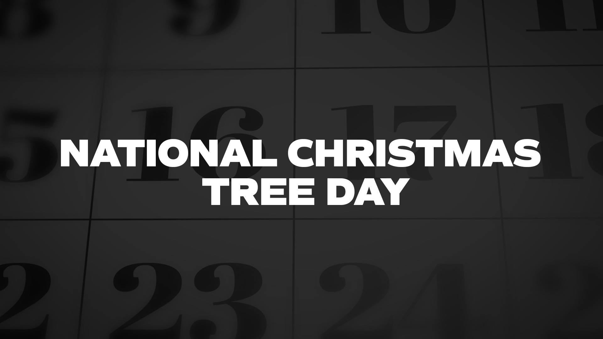 Title image for National Christmas Tree Day