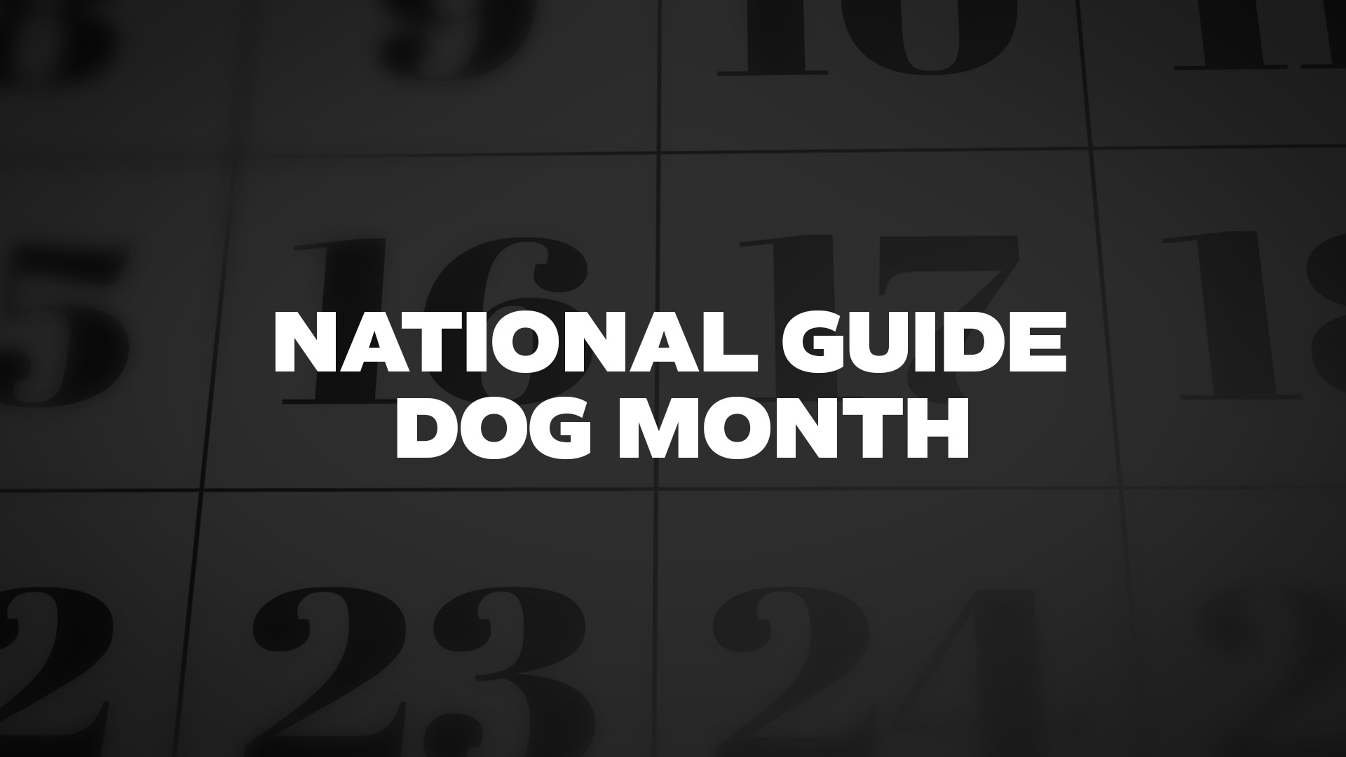 Title image for National Guide Dog Month