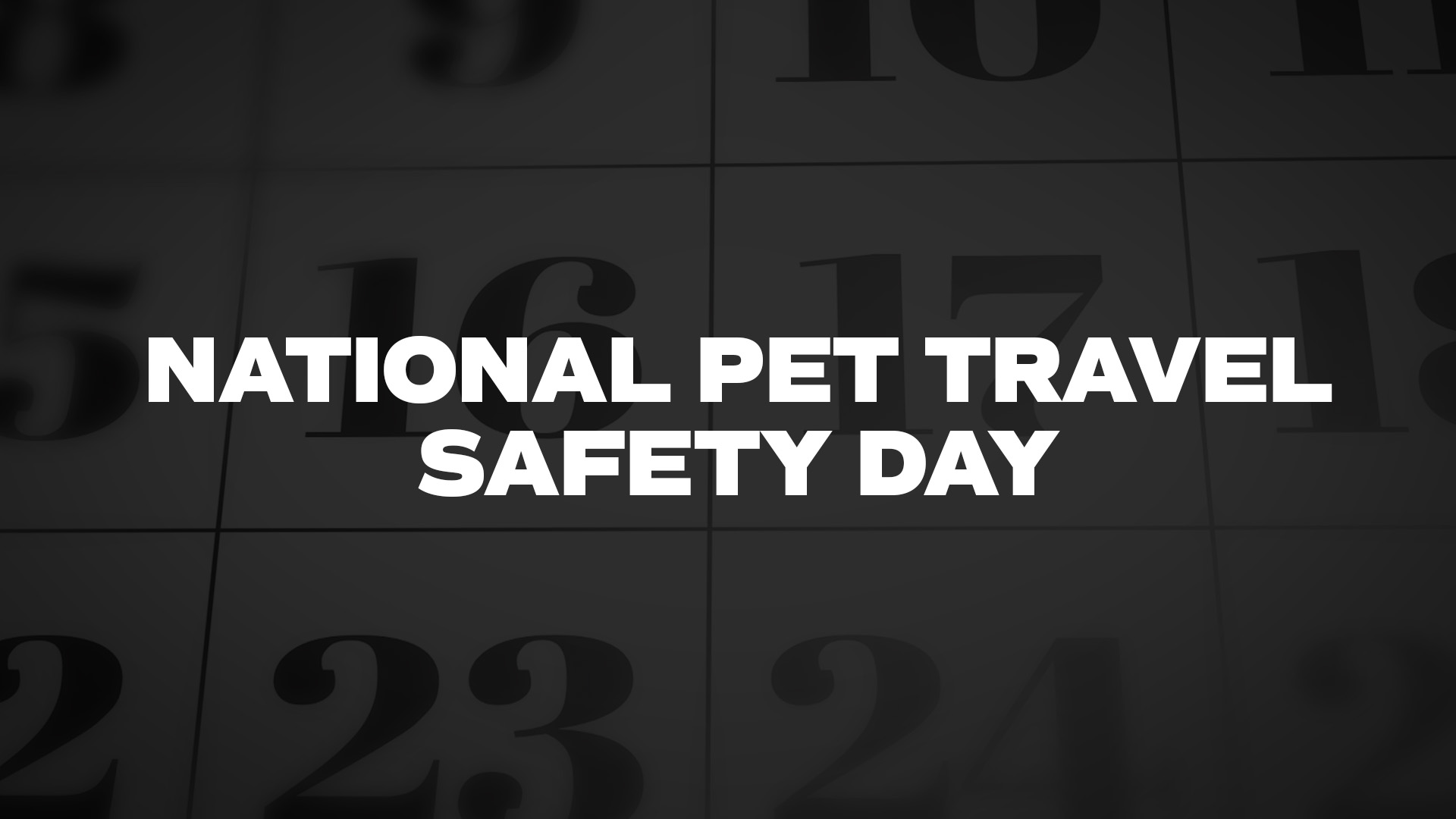 Title image for National Pet Travel Safety Day