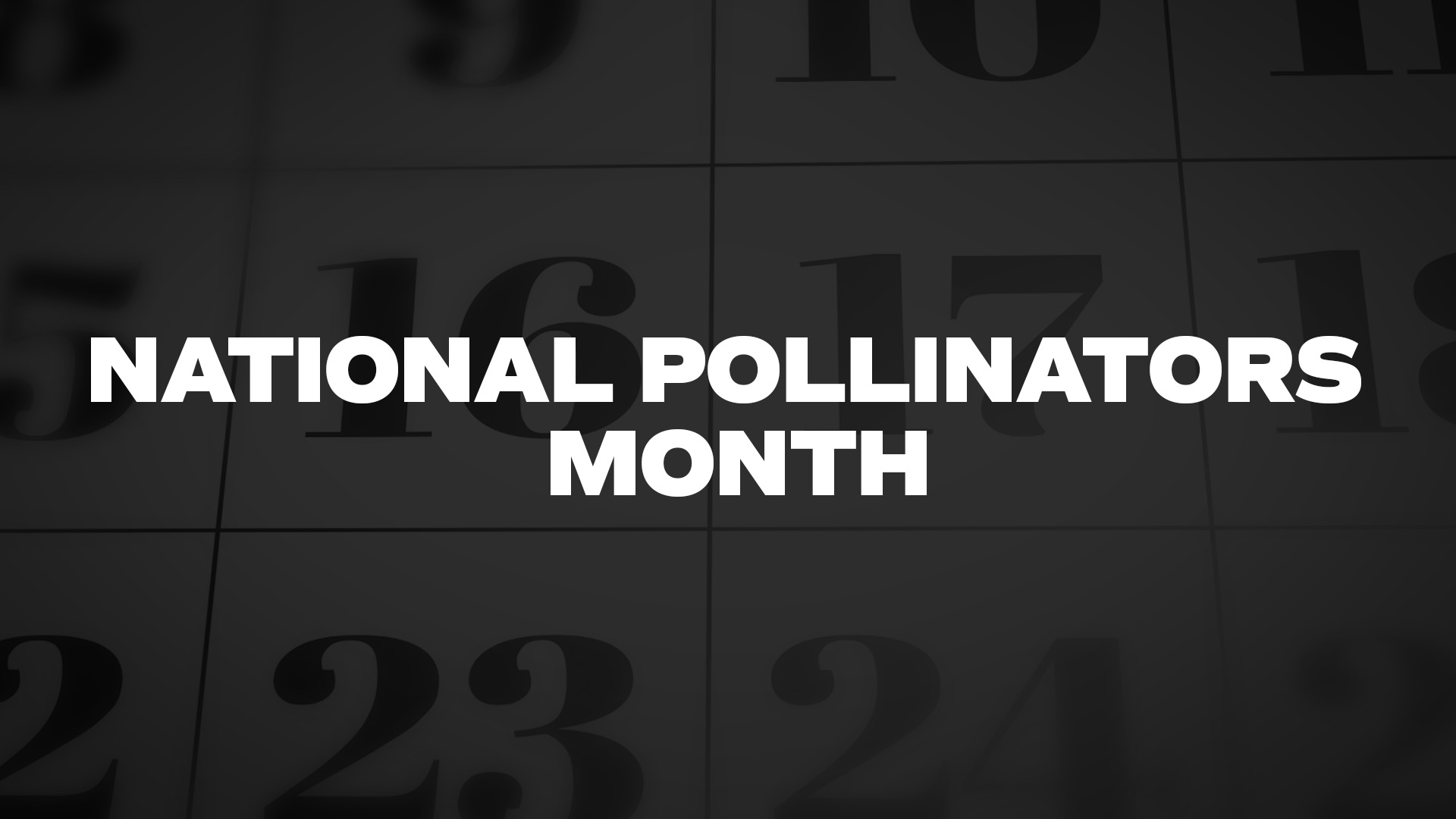 Title image for National Pollinators Month