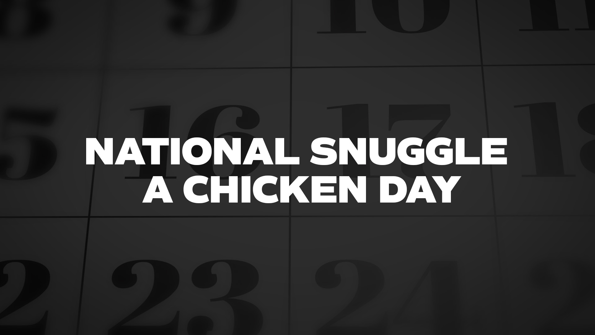 Title image for National Snuggle A Chicken Day