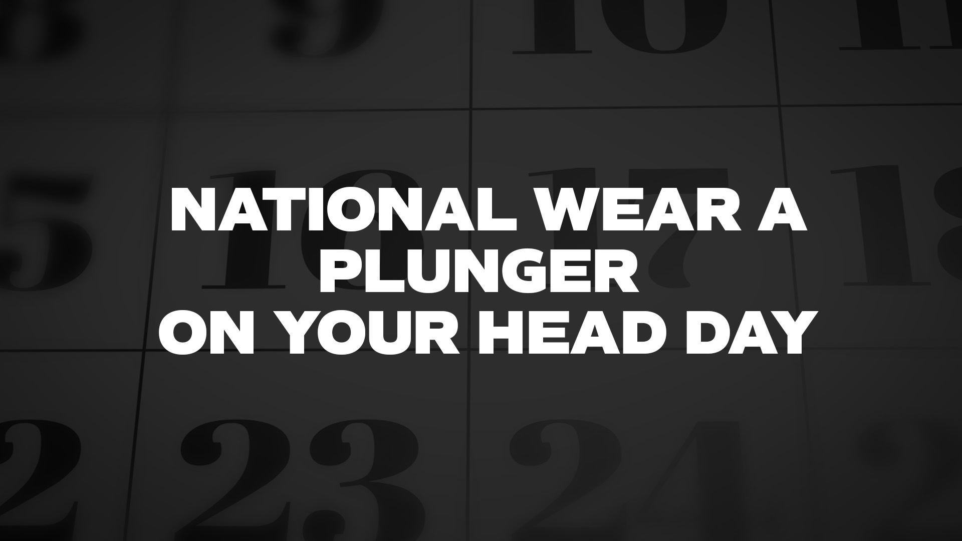 Title image for National Wear A Plunger On Your Head Day