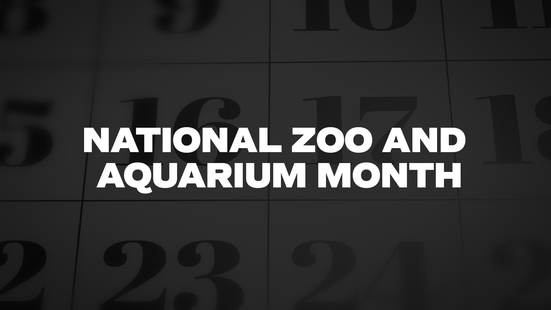 Title image for National Zoo And Aquarium Month