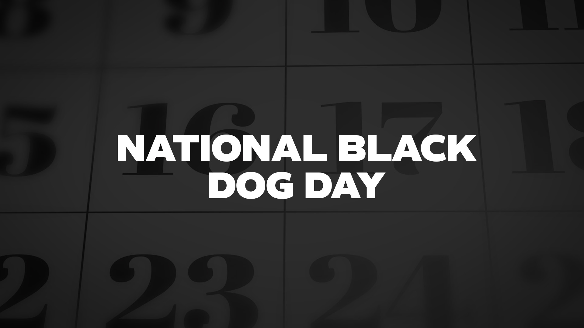 Title image for National Black Dog Day