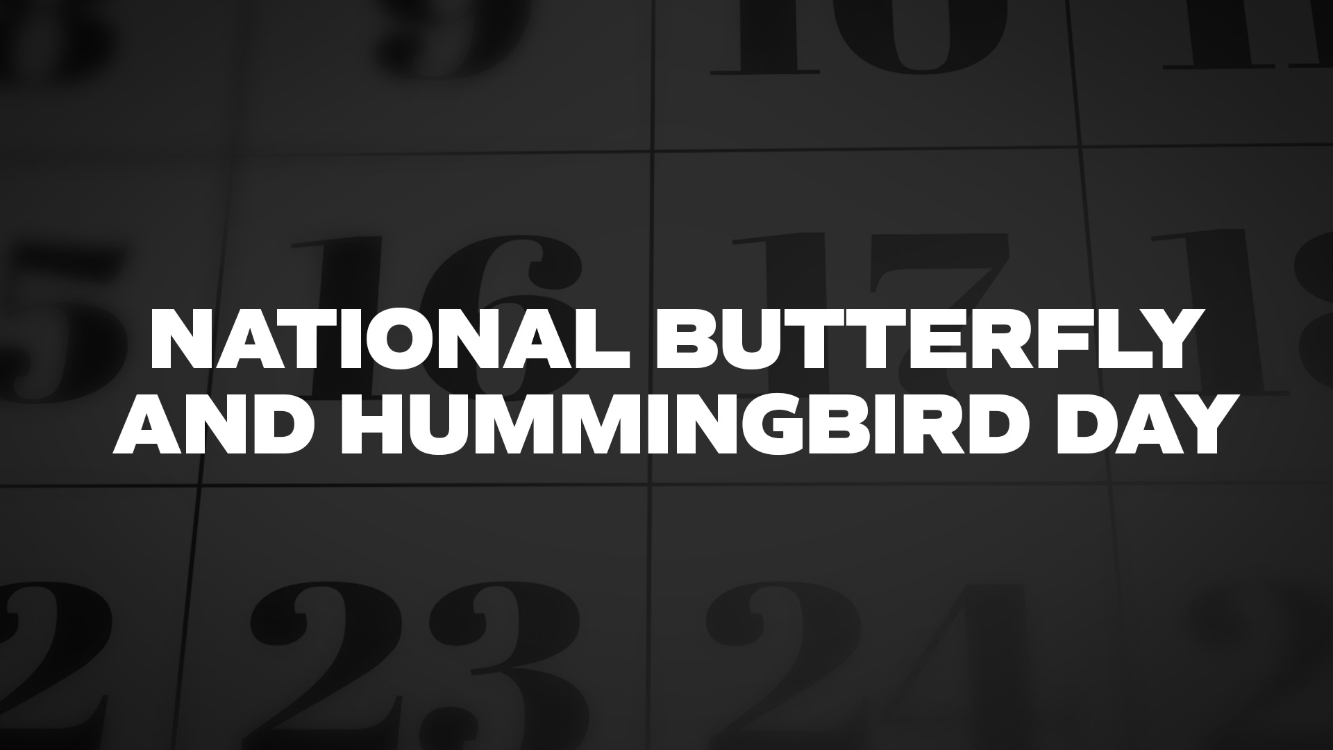 Title image for National Butterfly And Hummingbird Day