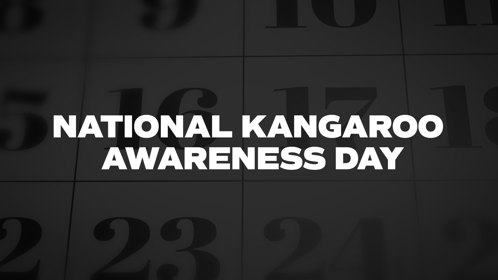 Title image for National Kangaroo Awareness Day