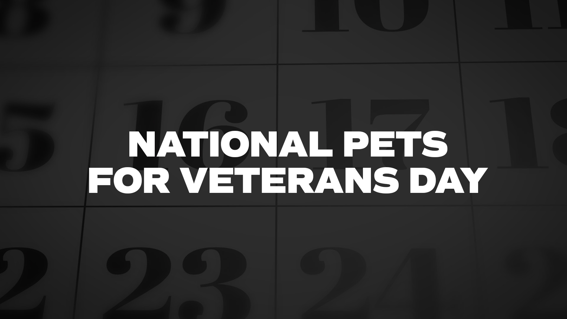 Title image for National Pets For Veterans Day