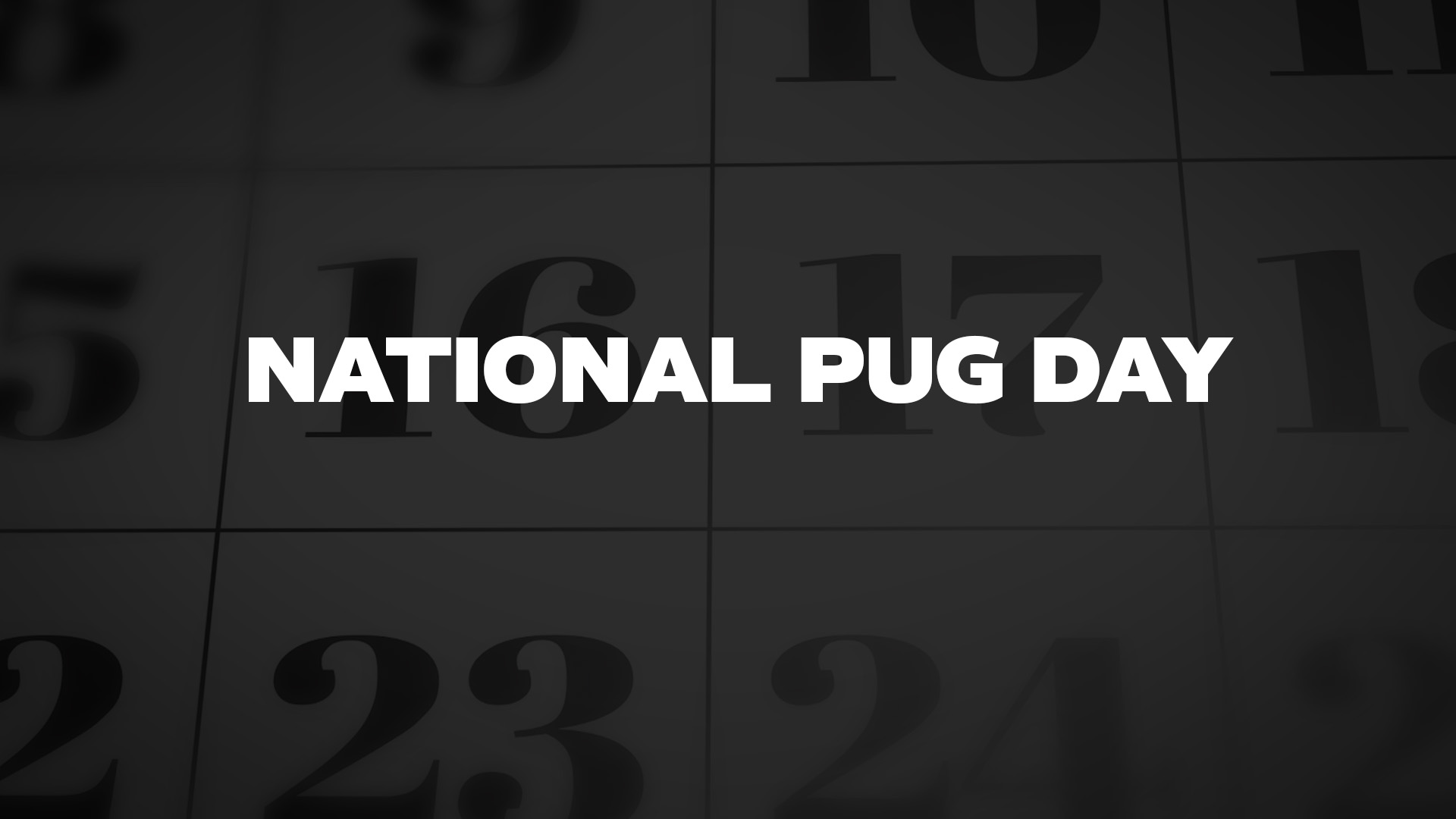 Title image for National Pug Day