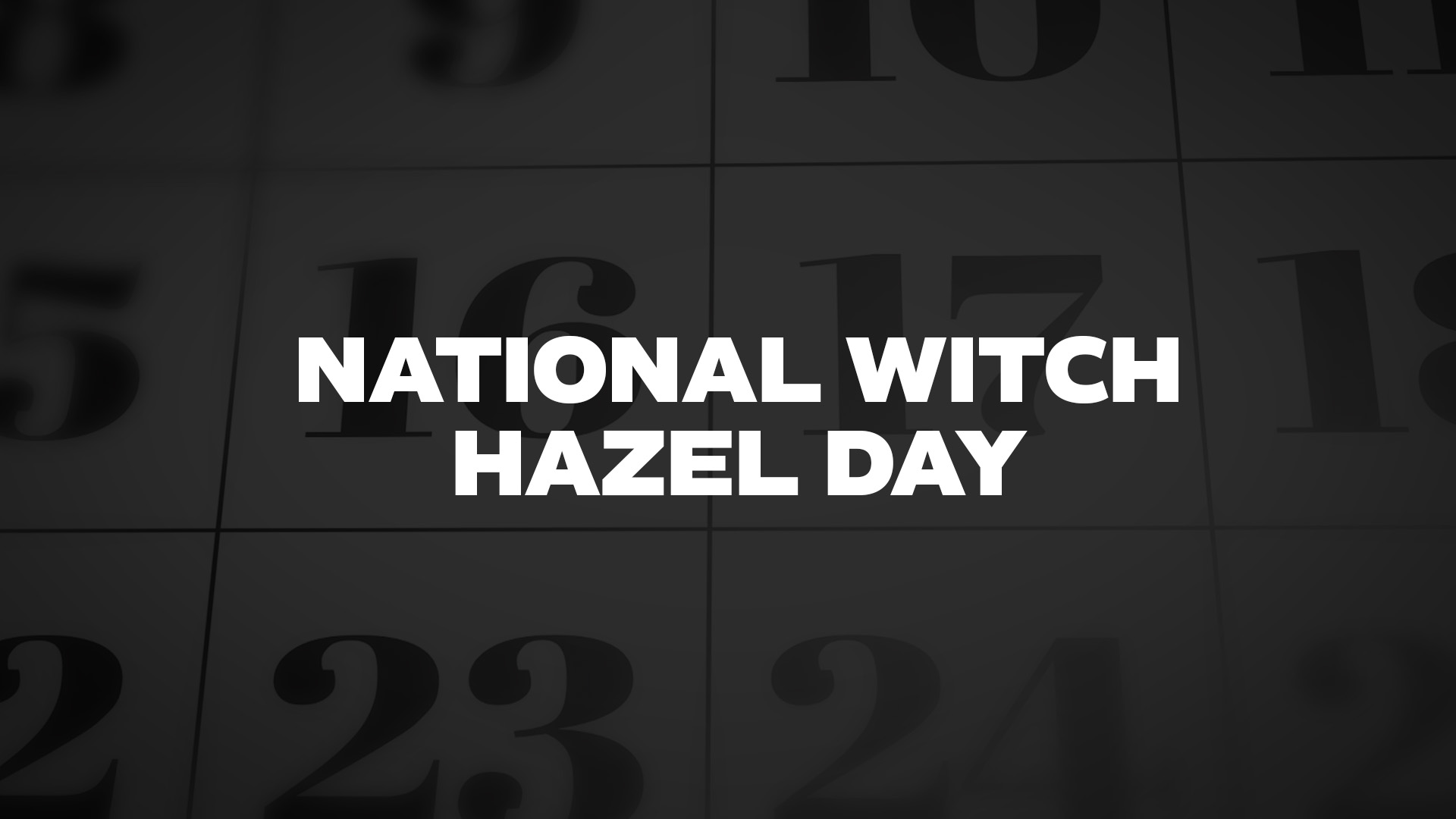 Title image for National Witch Hazel Day