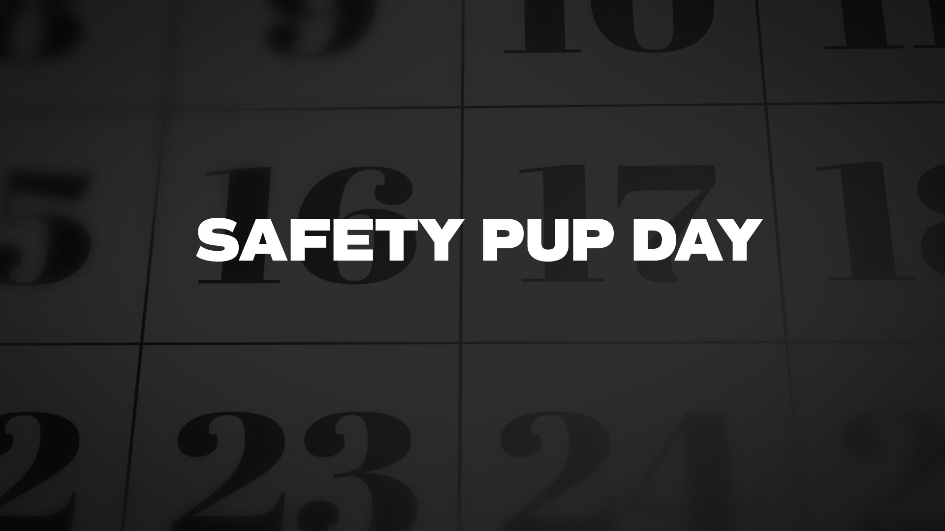Title image for Safety Pup Day