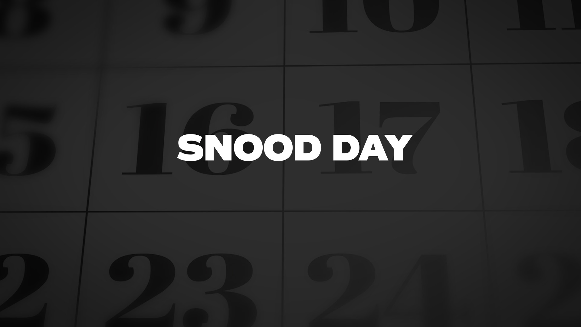 Title image for Snood Day