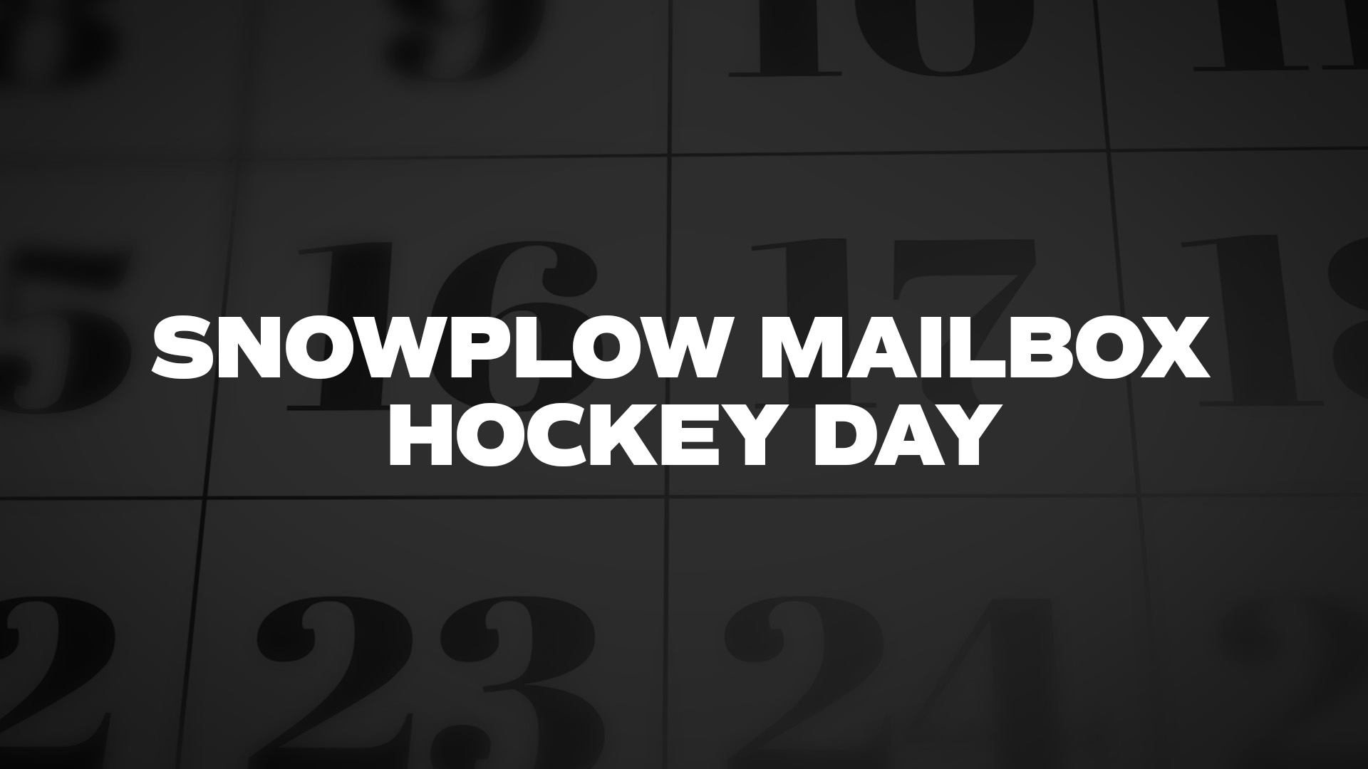 Title image for Snowplow Mailbox Hockey Day