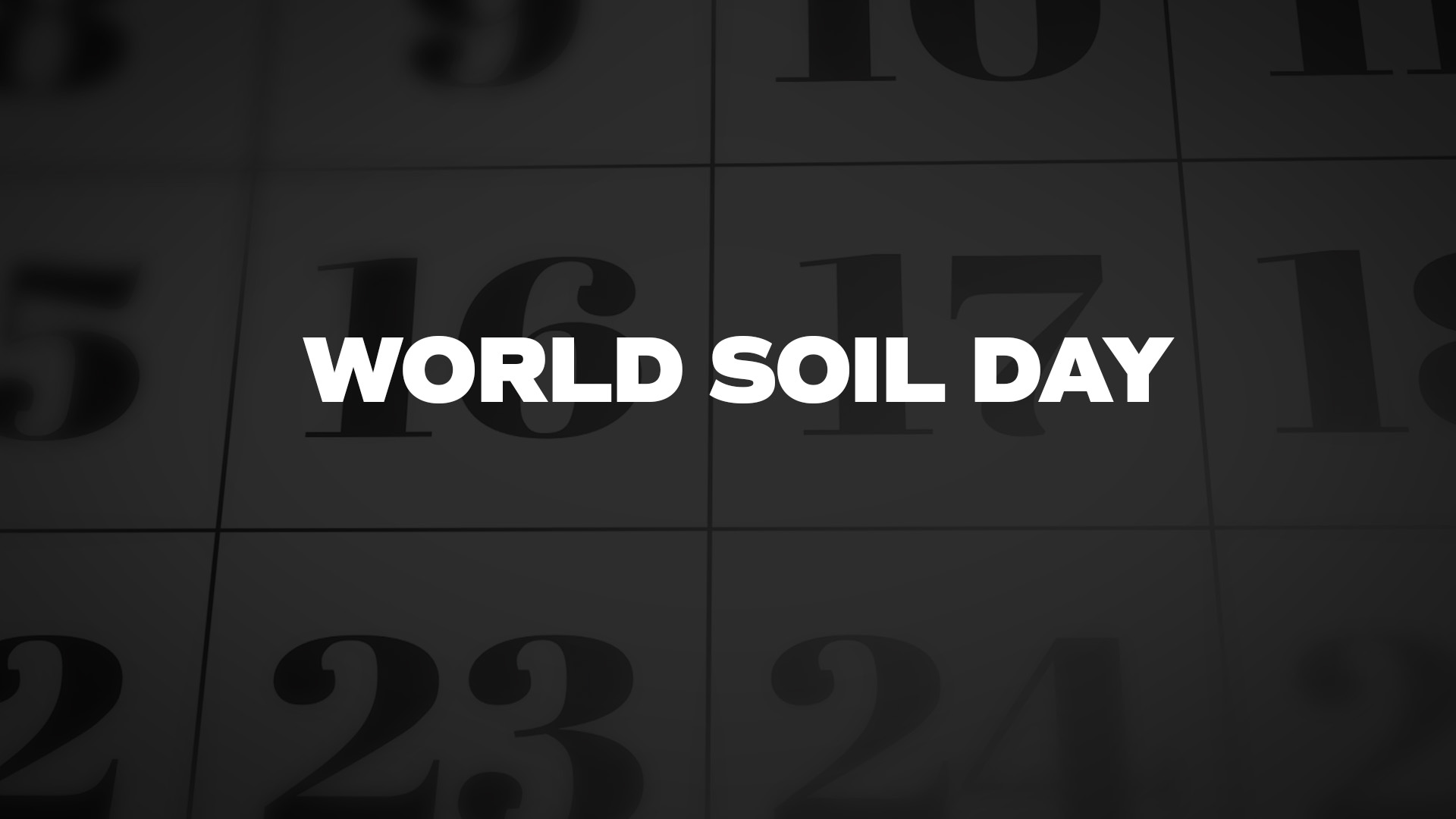 Title image for World Soil Day