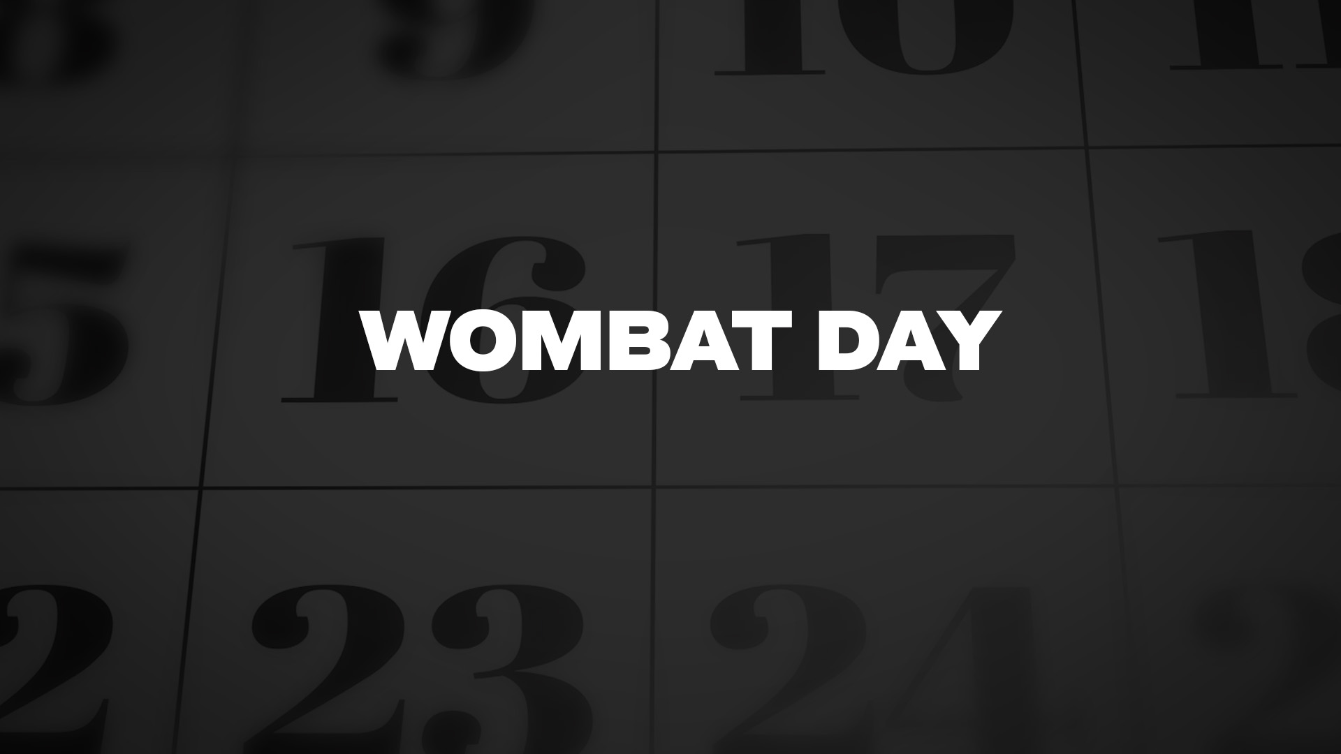 Title image for Wombat Day