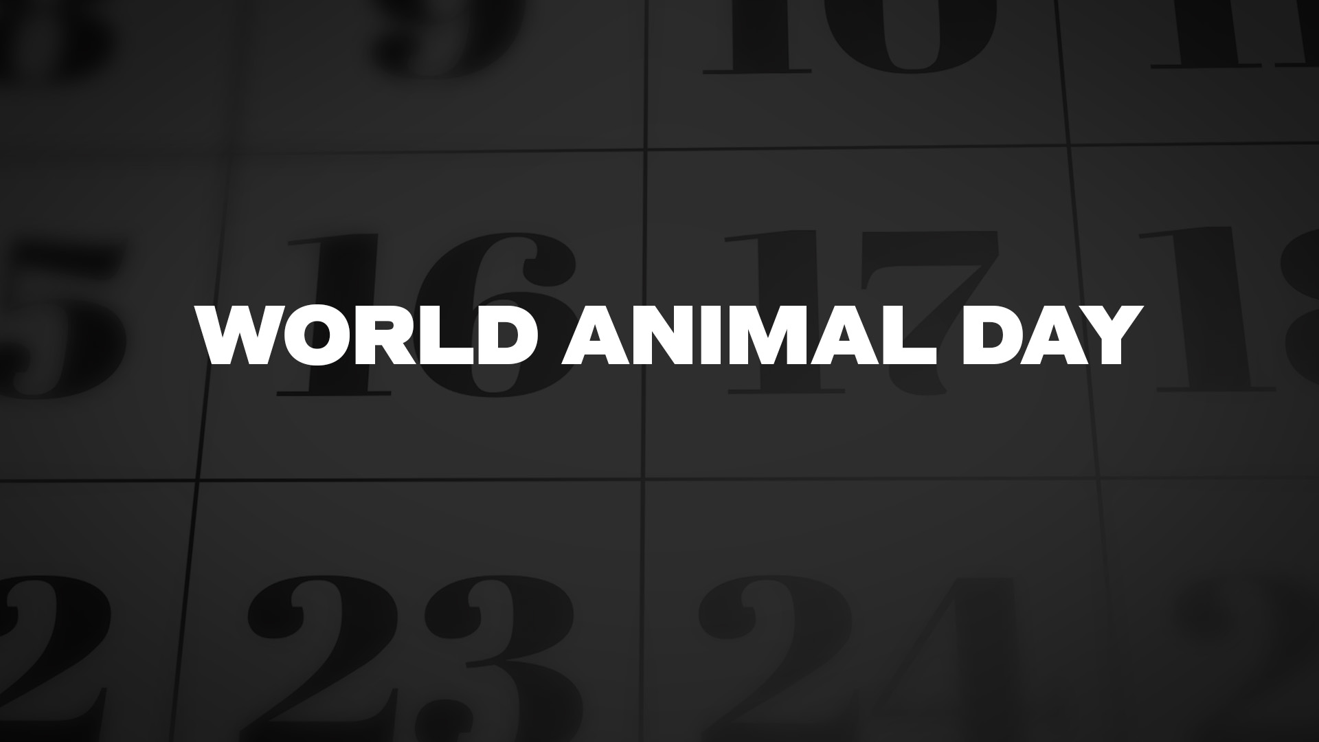 Title image for World Animal Day