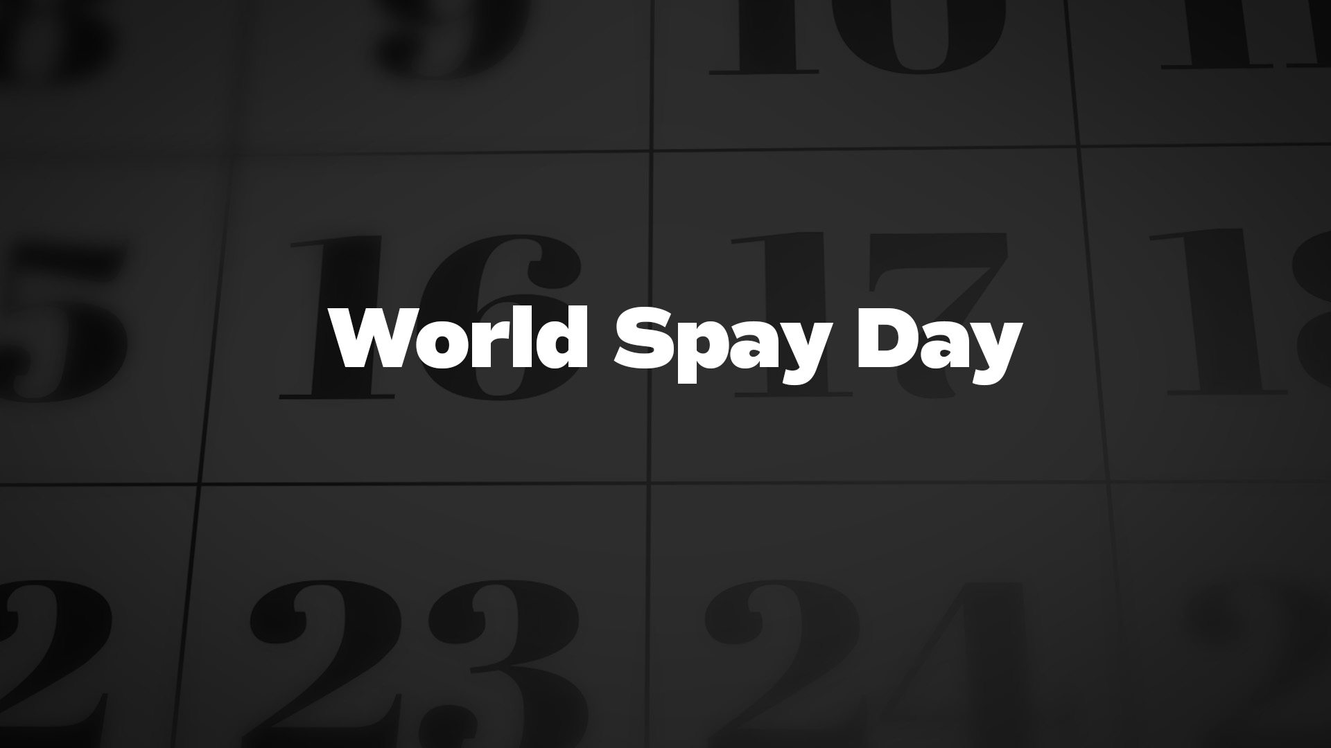 Title image for World Spay Day