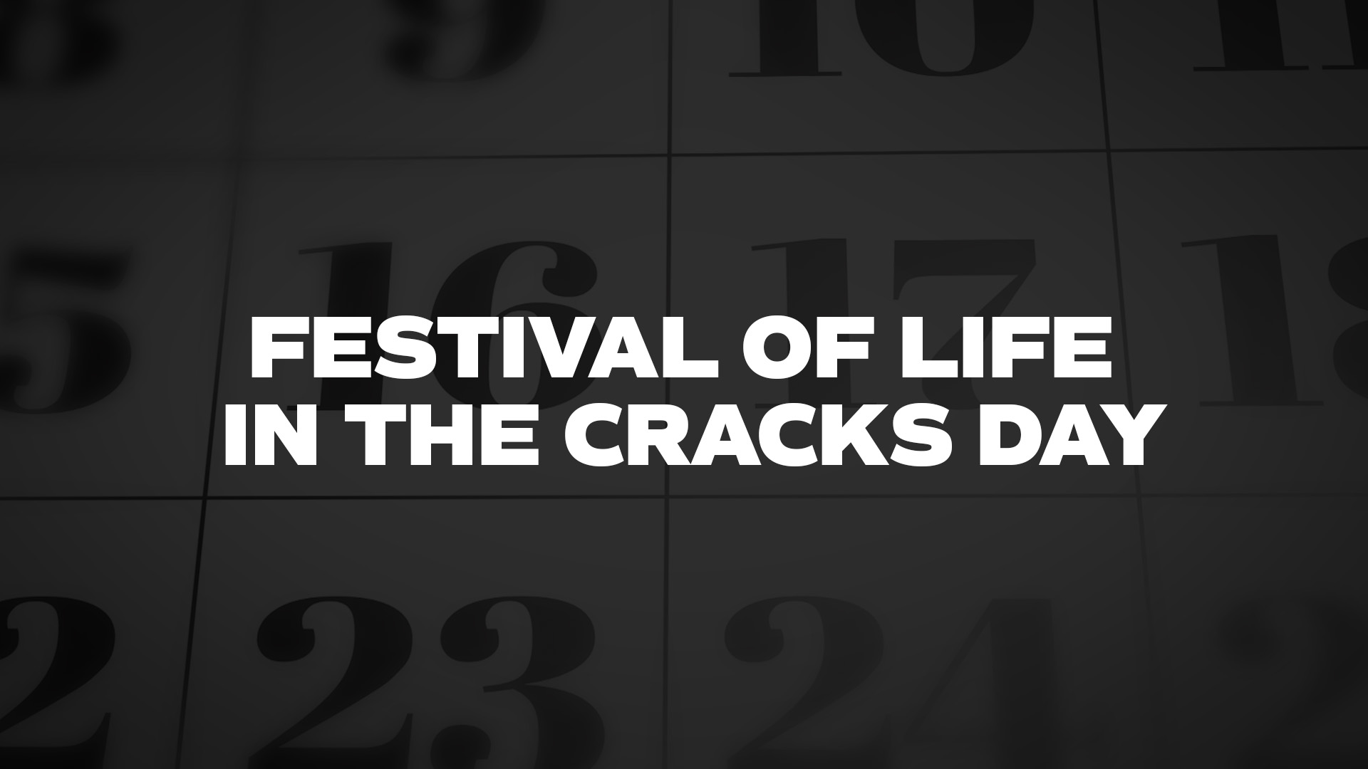 Title image for Festival of Life in the Cracks Day