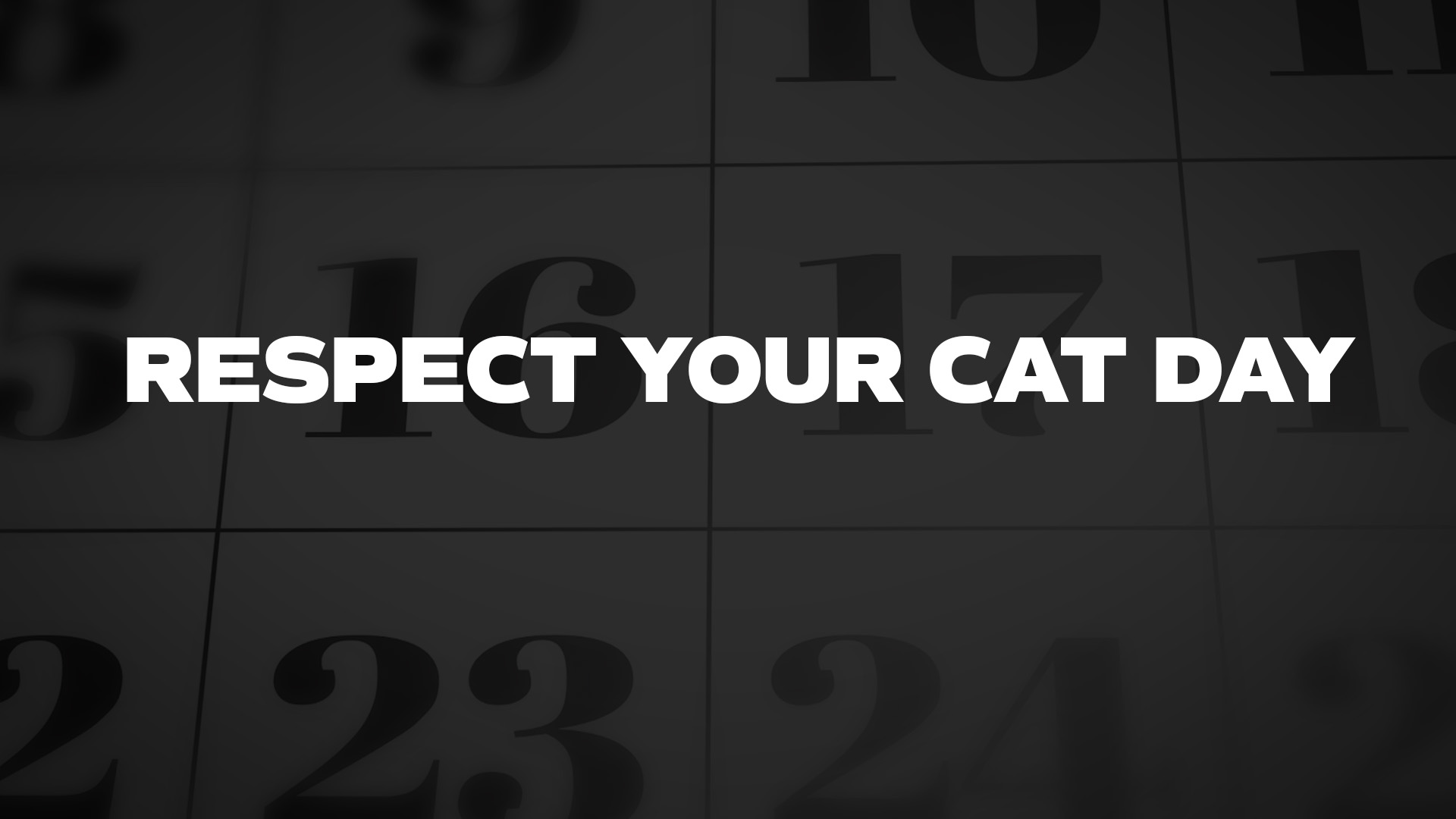 Title image for Respect Your Cat Day