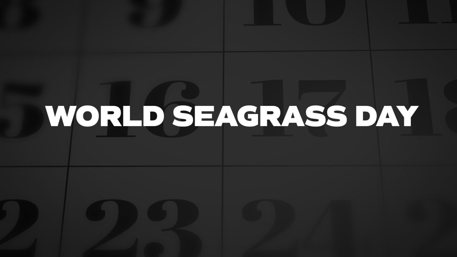 WORLDSEAGRASSDAY List Of National Days