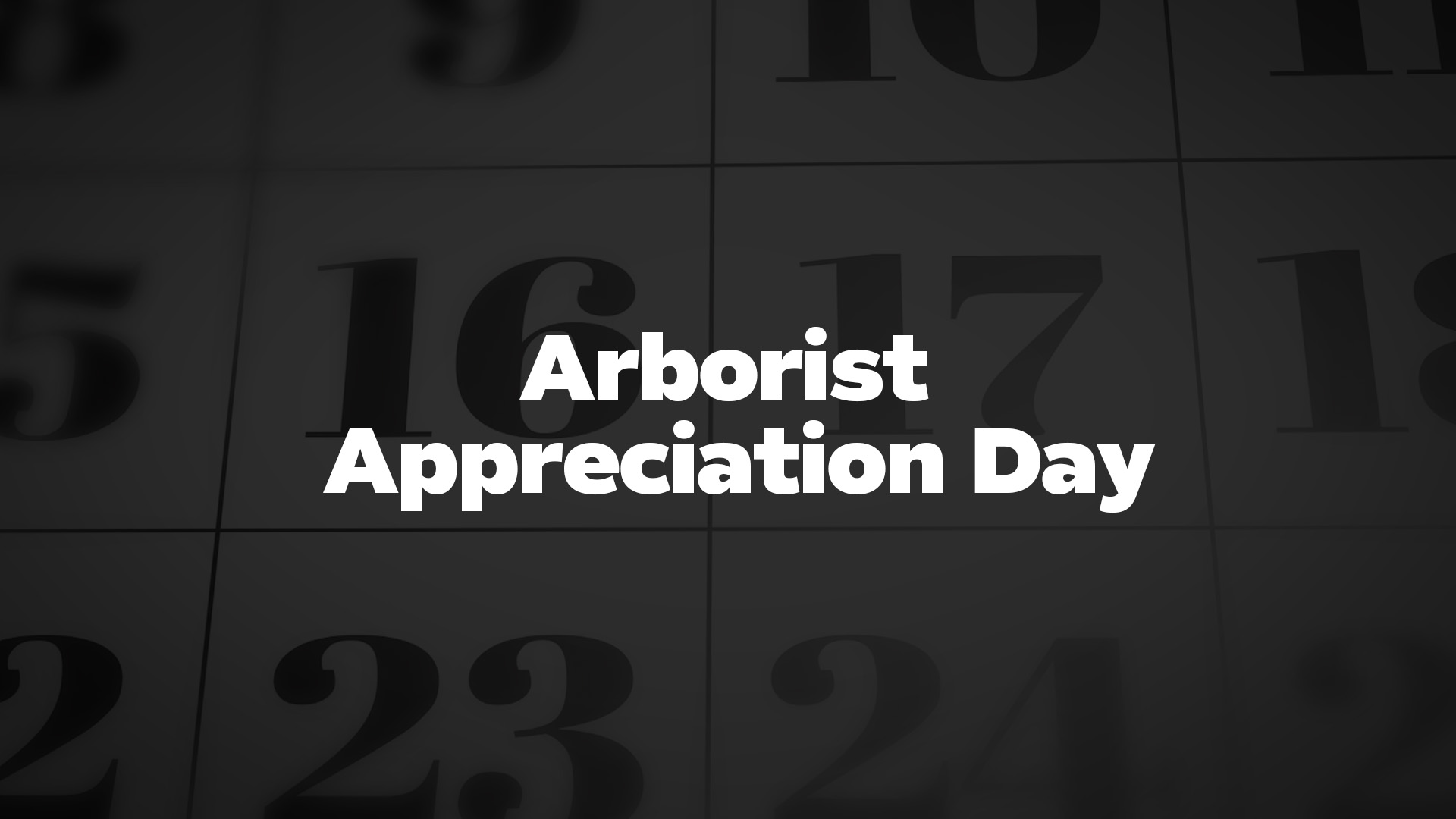 Title image for Arborist Appreciation Day