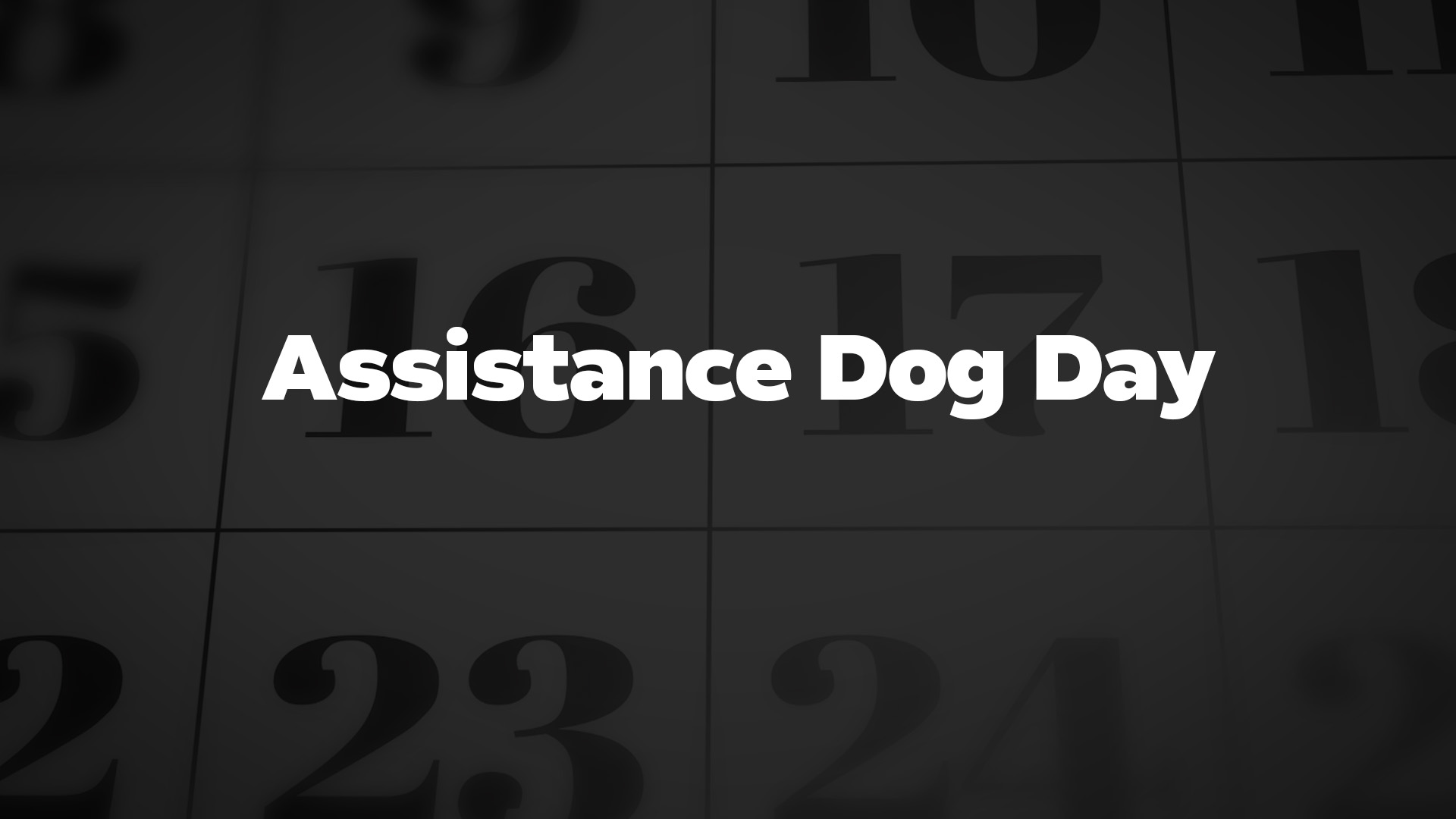 Assistance Dog Day List Of National Days Assistance Dog Day List Of National Days