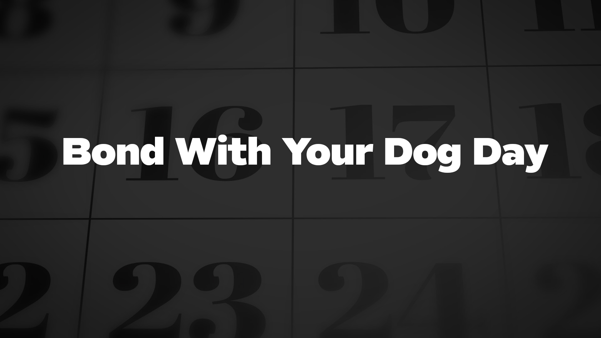 Title image for Bond With Your Dog Day