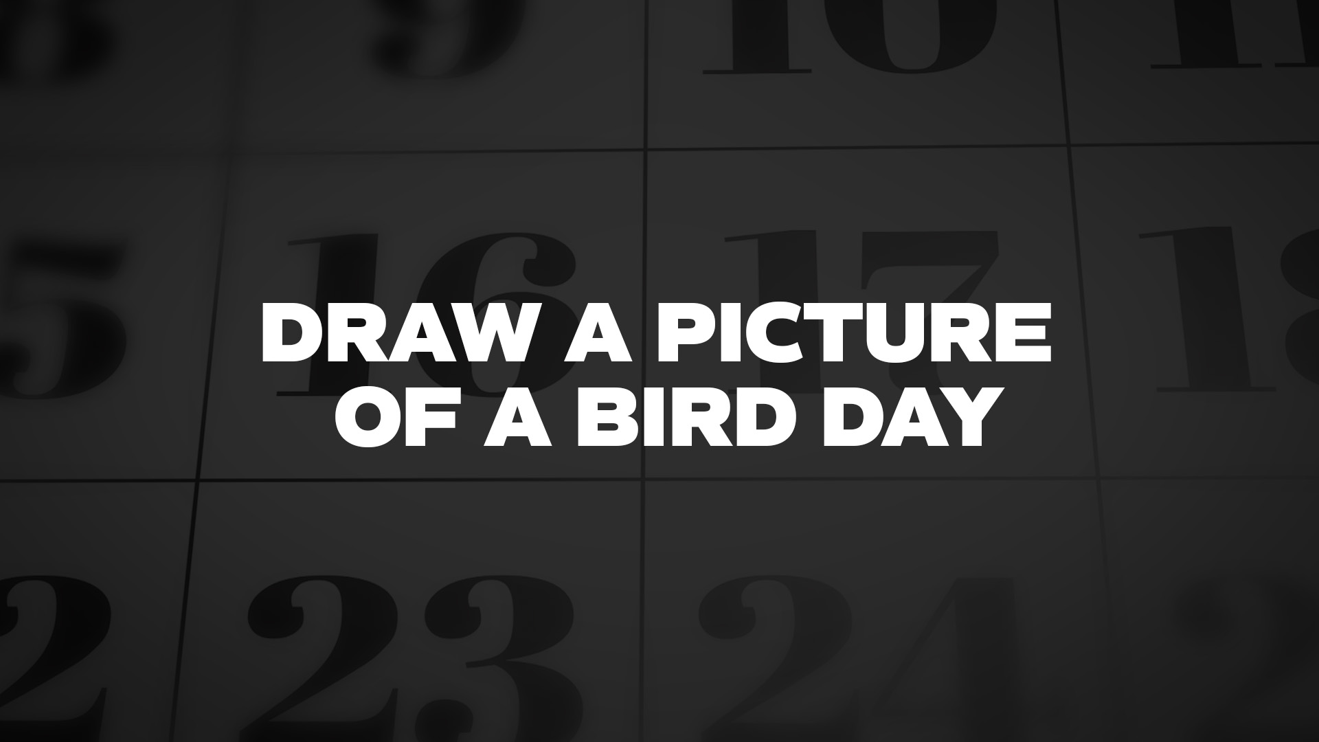 Title image for Draw A Picture Of A Bird Day