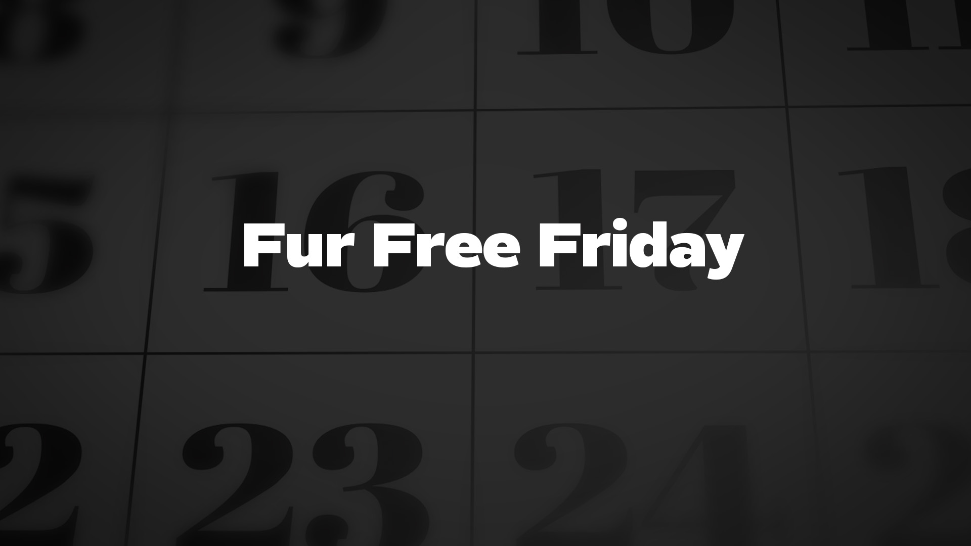 Title image for Fur Free Friday