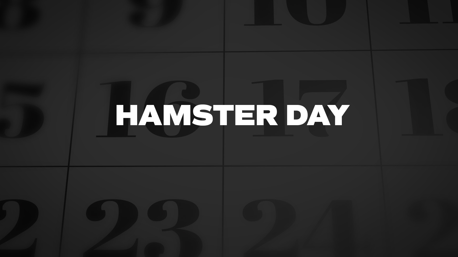 Title image for Hamster Day