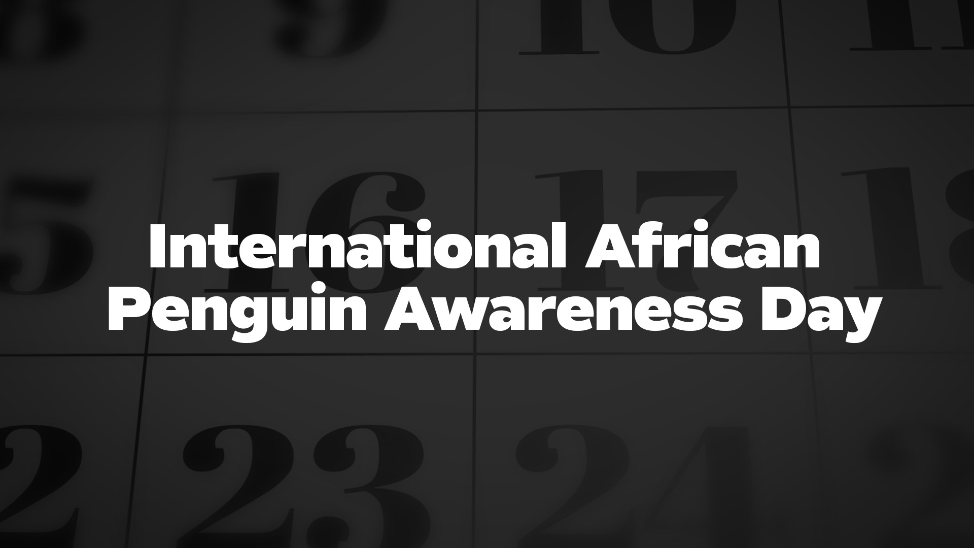 Title image for International African Penguin Awareness Day