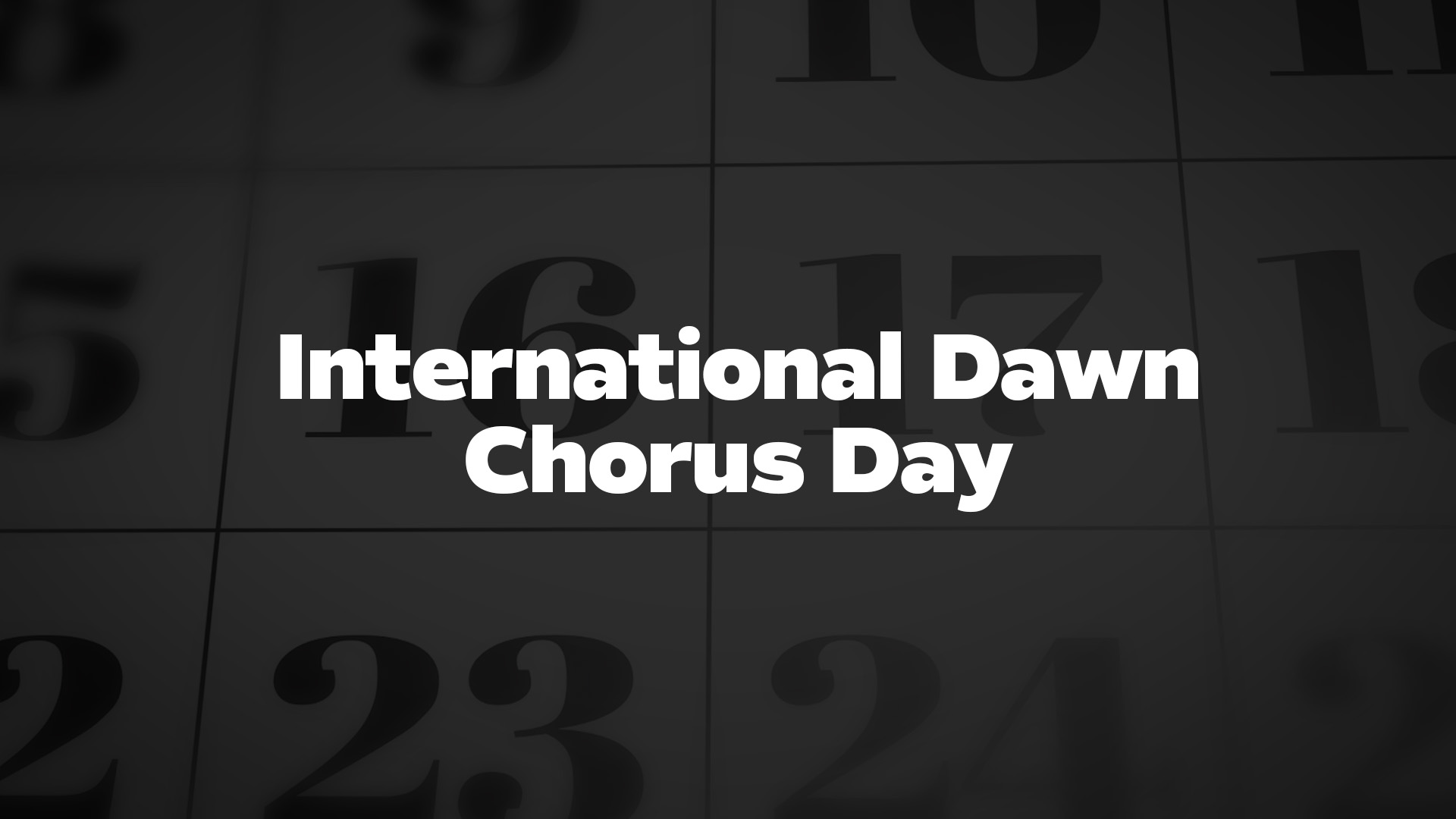 Title image for International Dawn Chorus Day