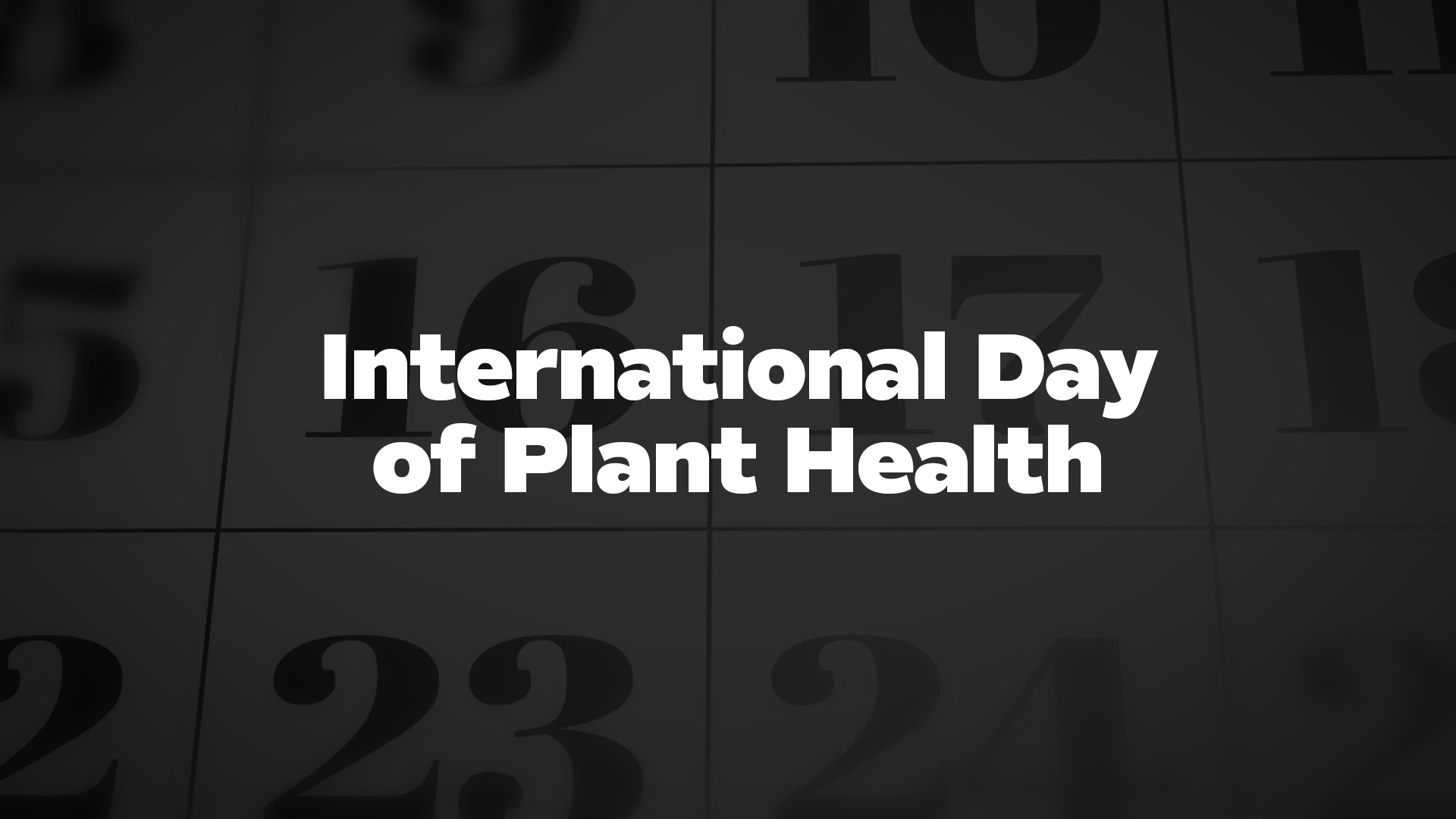 Title image for International Day Of Plant Health