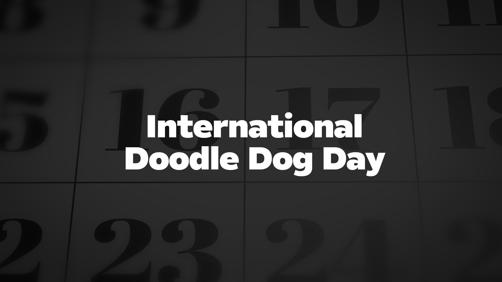 Title image for International Doodle Dog Day