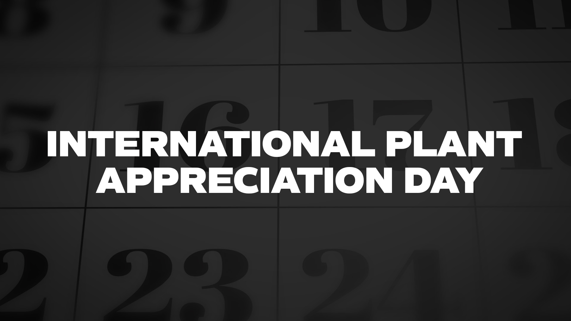 Title image for International Plant Appreciation Day