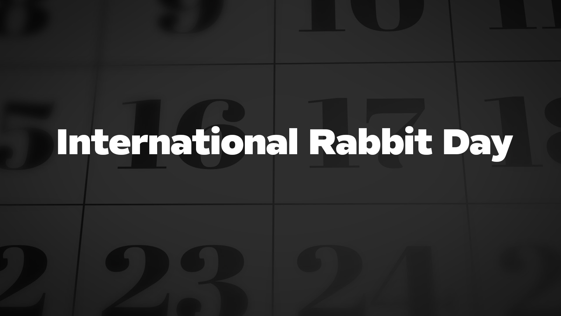 Title image for International Rabbit Day