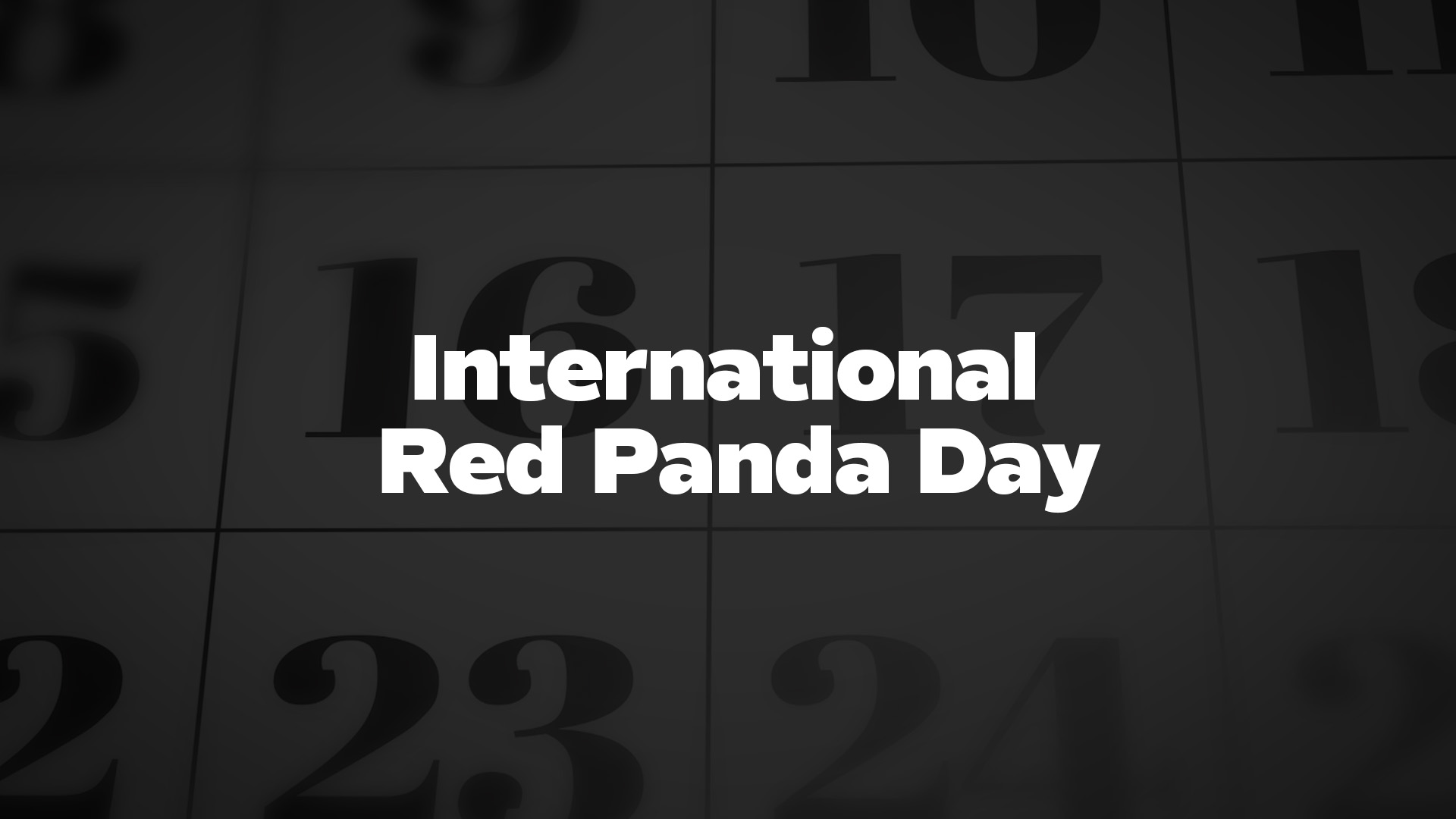 Title image for International Red Panda Day