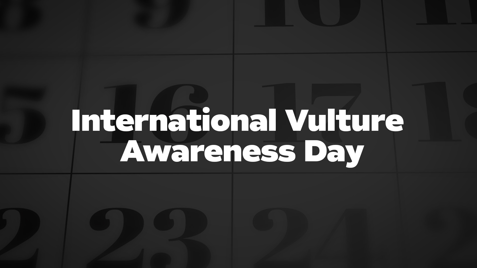 Title image for International Vulture Awareness Day
