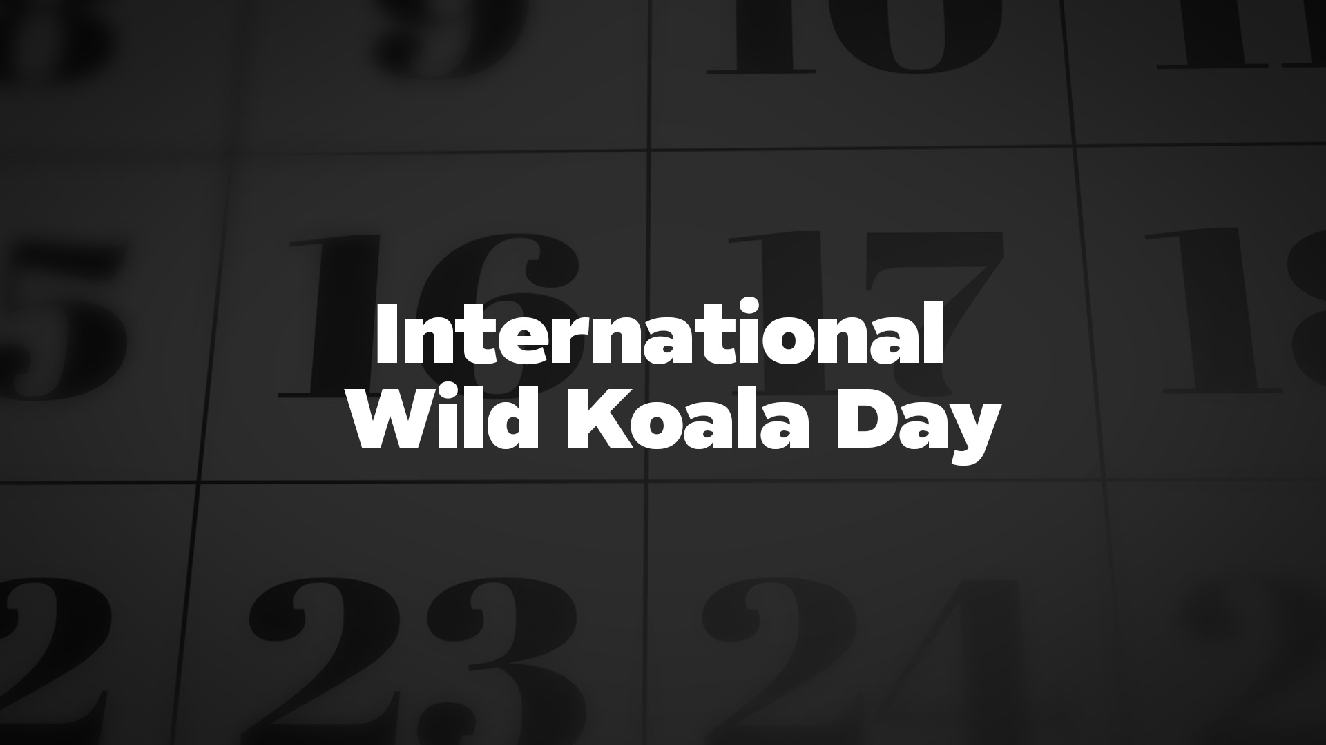 Title image for International Wild Koala Day