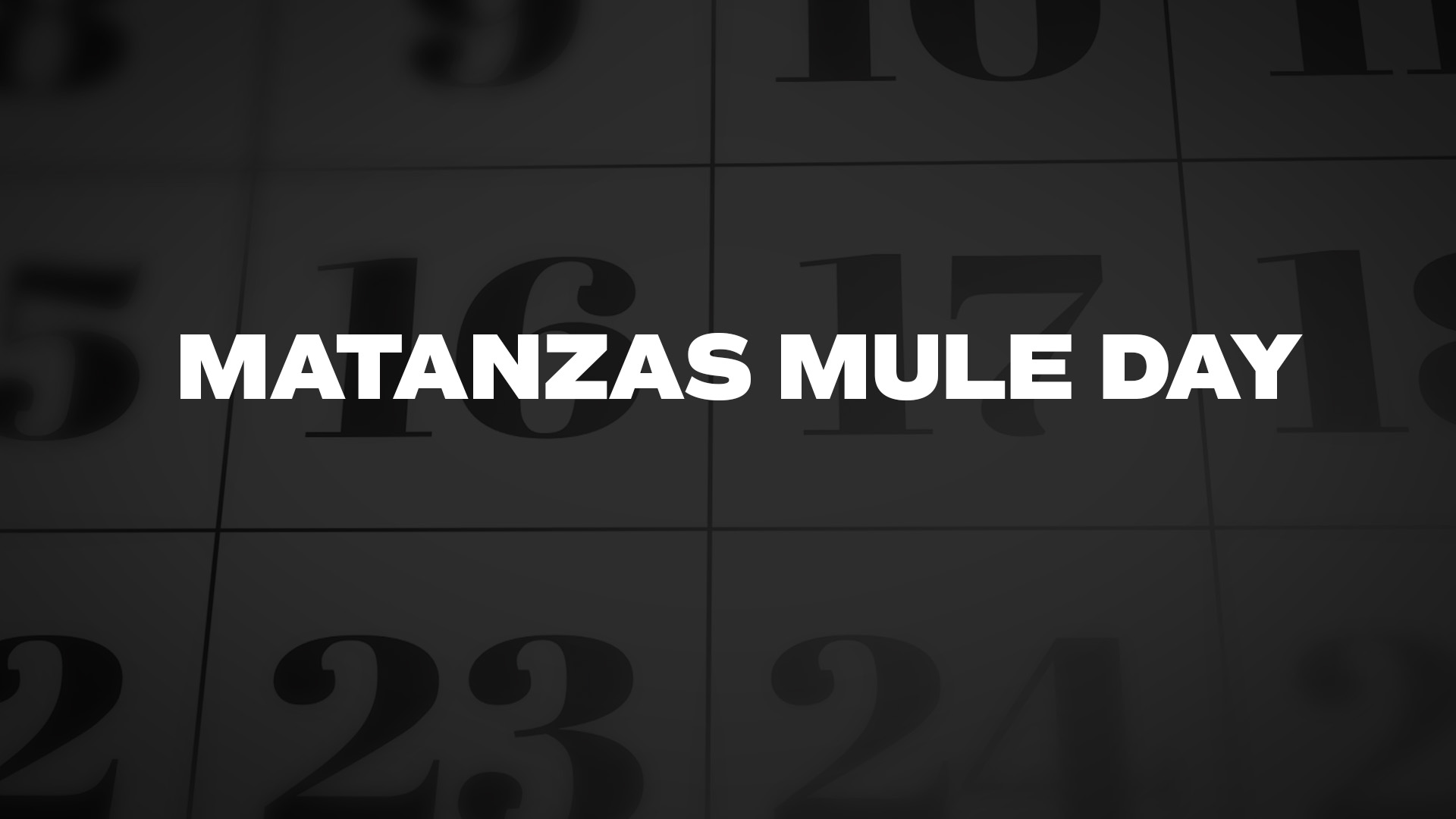 Title image for Matanzas Mule Day