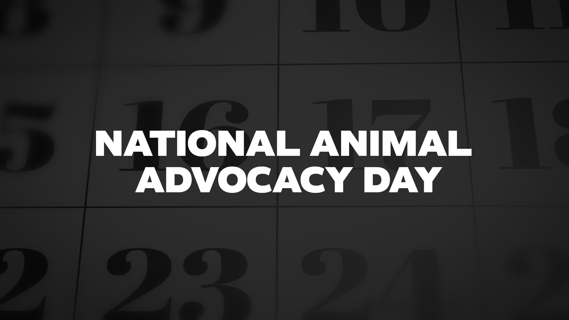 Title image for National Animal Advocacy Day
