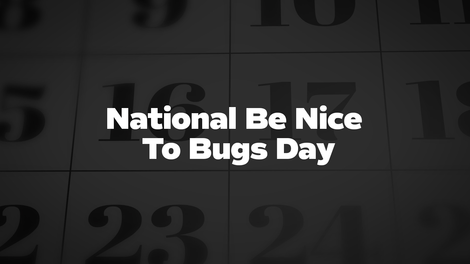Title image for National Be Nice To Bugs Day