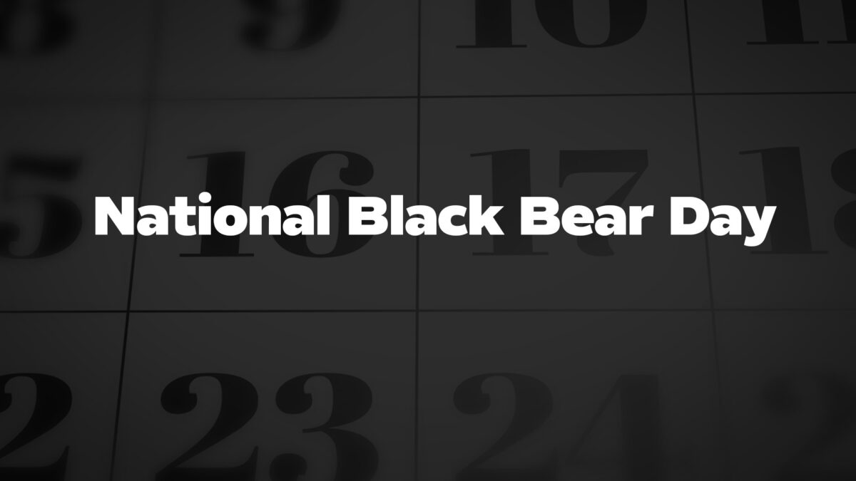 National Black Bear Day List Of National Days National black bear day list of national days