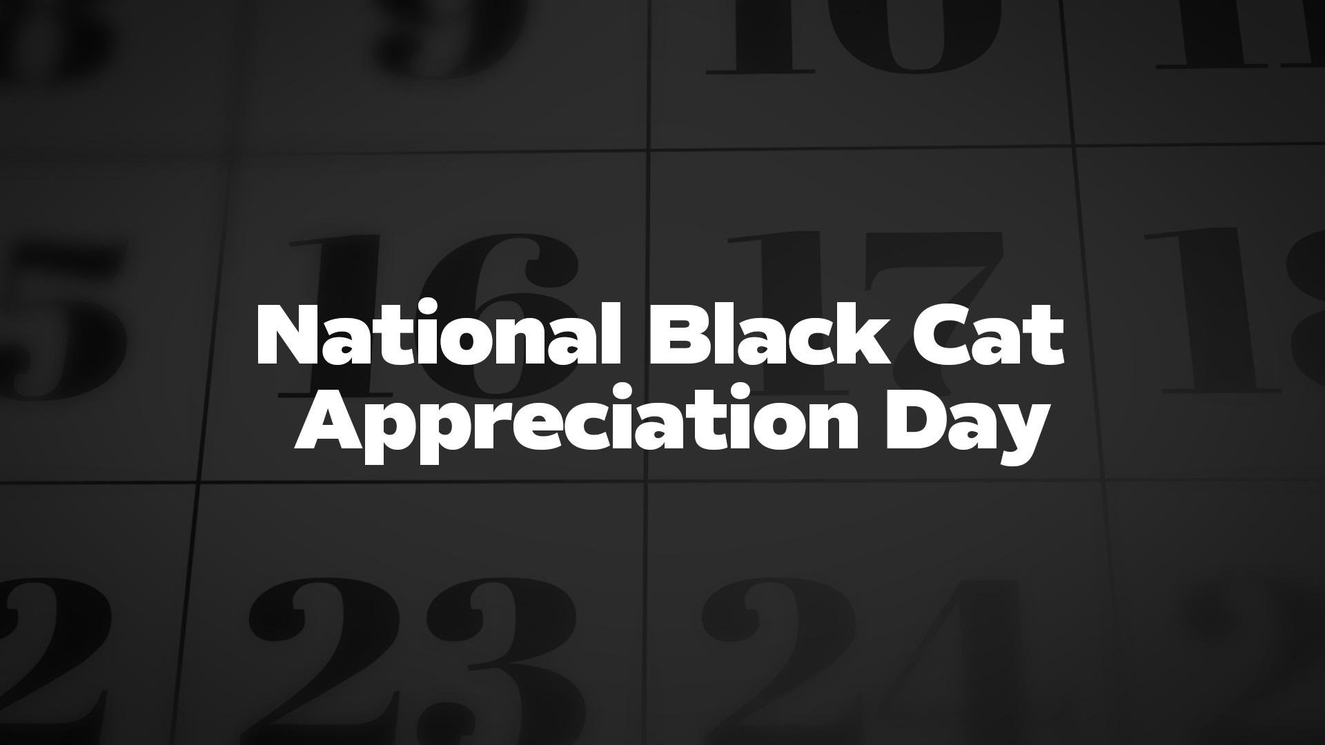 National Black Cat Appreciation Day List of National Days