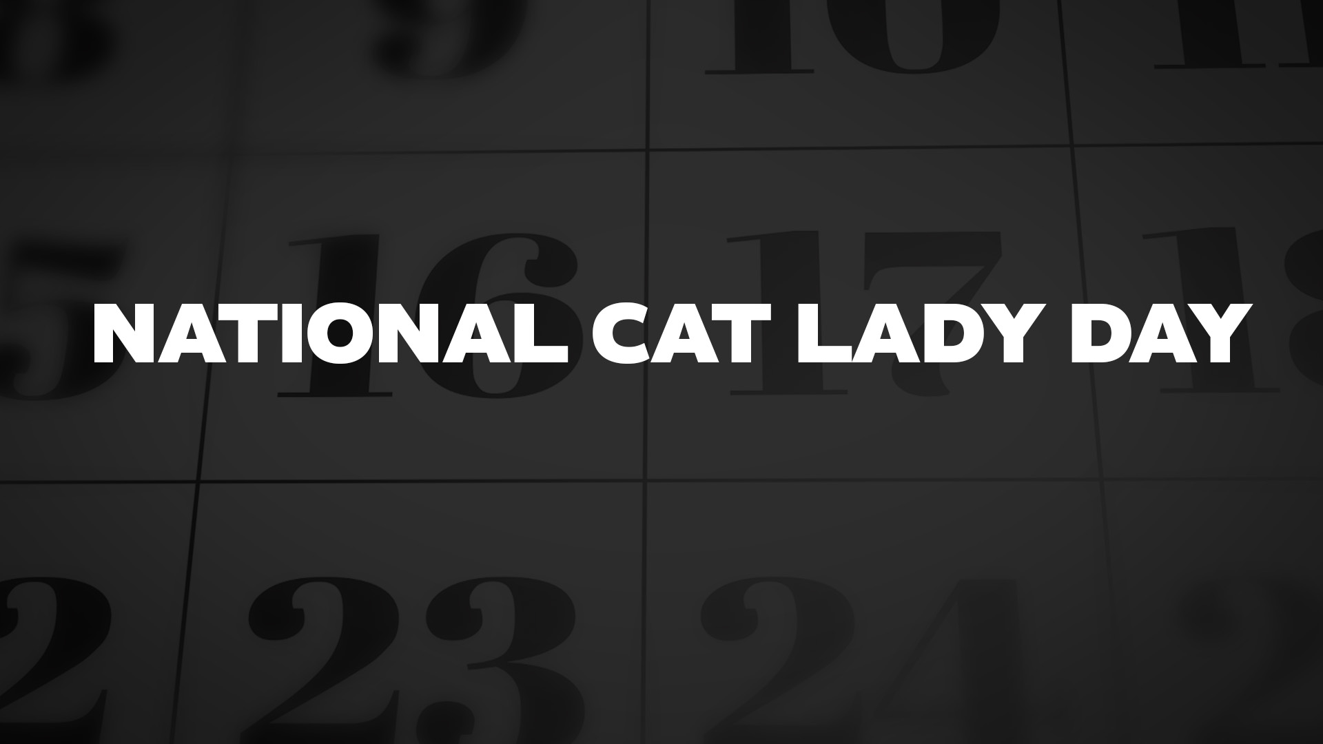 Title image for National Cat Lady Day