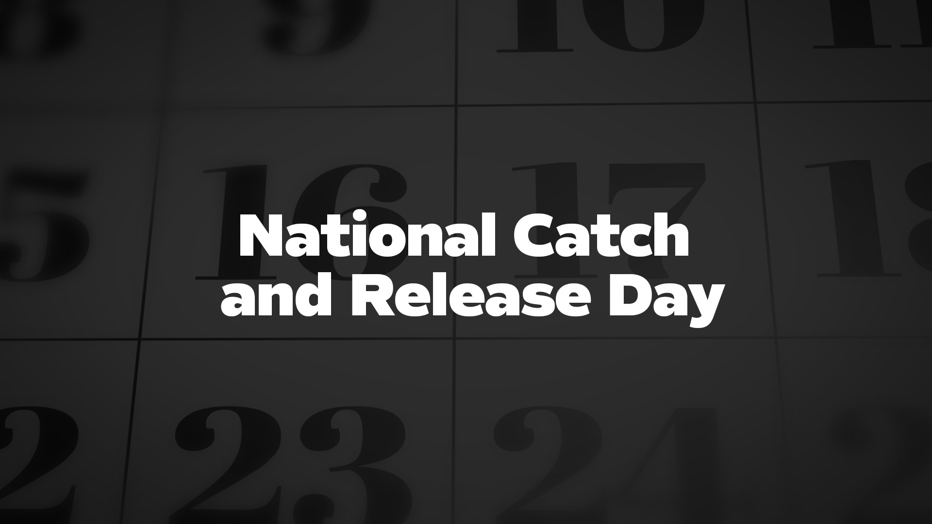 Title image for National Catch And Release Day