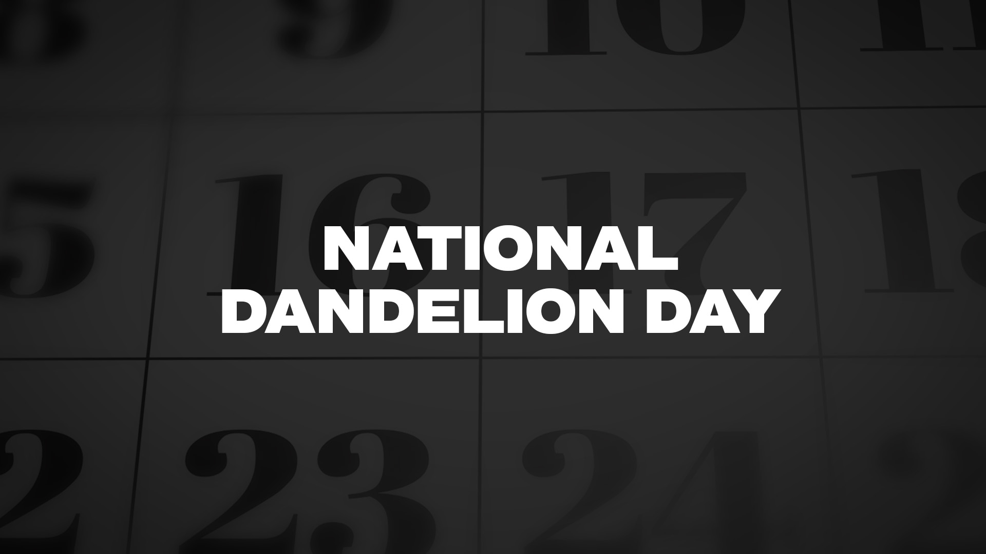 Title image for National Dandelion Day
