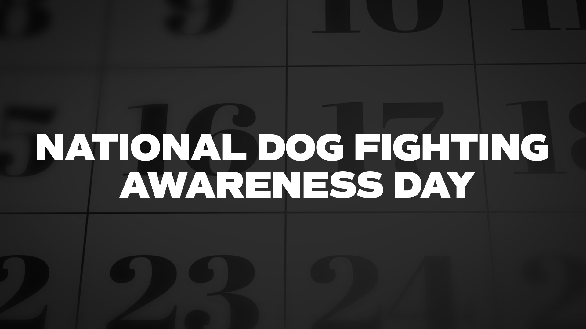 Title image for National Dog Fighting Awareness Day