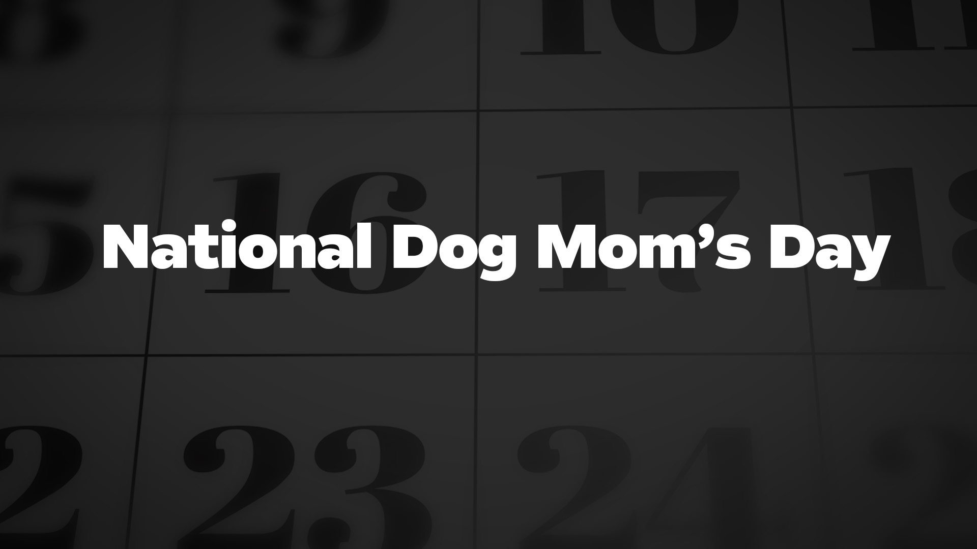 Title image for National Dog Mom's Day